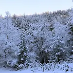 Szálloda Nogales 3*
