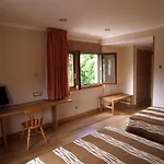 Nogales 3* Campo (Huesca)