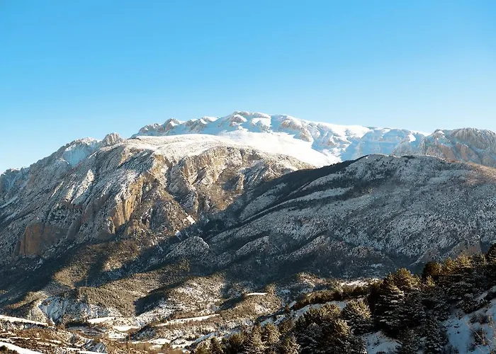 Nogales ホテル カンポ