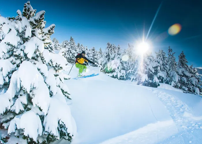 Nogales 3* カンポ