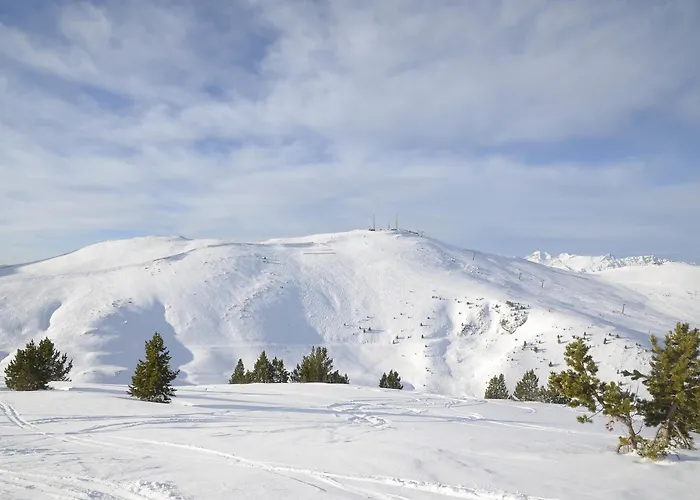 ホテル Nogales 3*