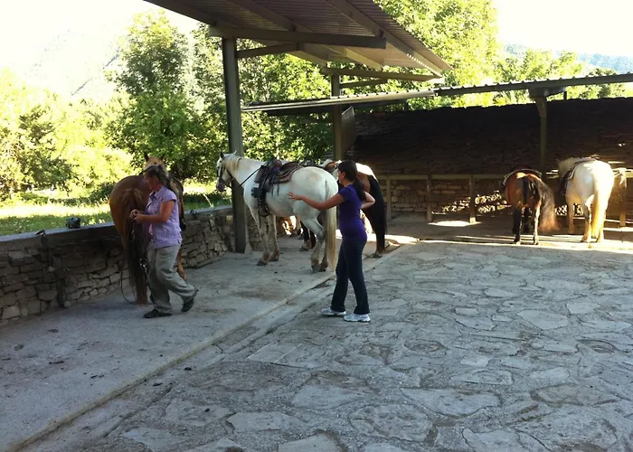 Nogales ホテル カンポ