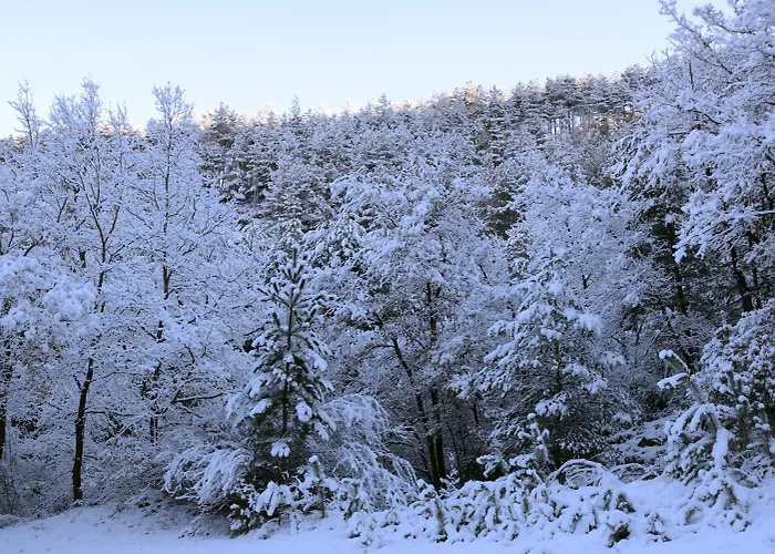 ホテル Nogales 3*